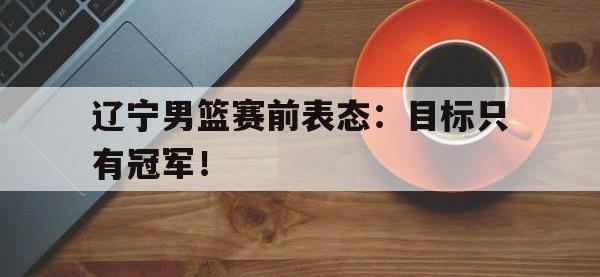 IM电竞下载网站-辽宁男篮赛前表态：目标只有冠军！