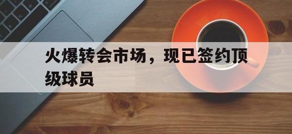 IM体育电脑app-火爆转会市场，现已签约顶级球员